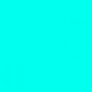 Meet your Posher, Ariane